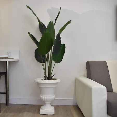 Apartment Luxury
