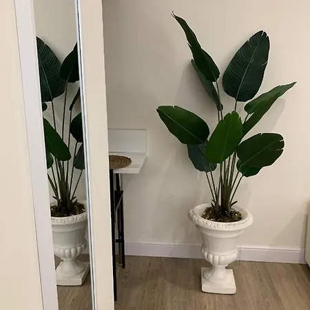Apartment Luxury