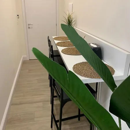 Luxury Apartment